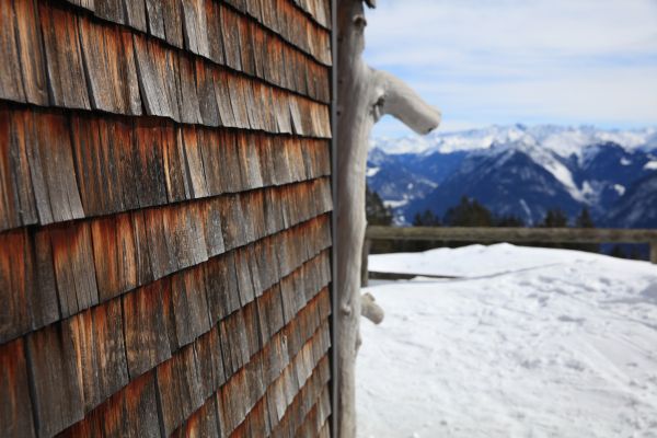 Cedar Siding Repair in Bellevue