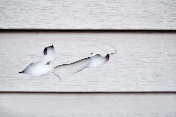 Siding Leak Repair in Bellevue