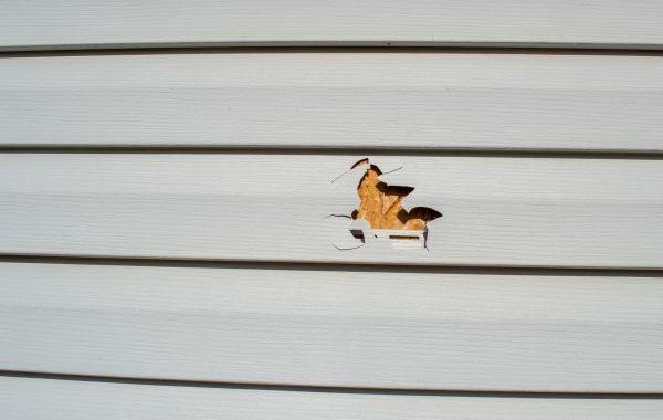 Siding Hole Patching in Bellevue
