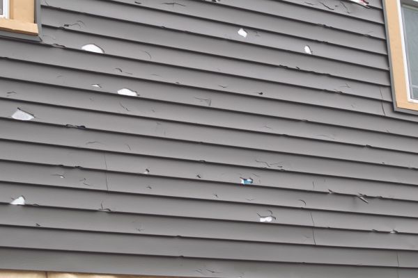 Damaged Siding Replacement in Bellevue